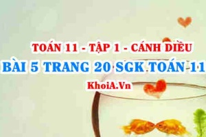 Bài 5 trang 20 SGK Toán 11 tập 1 Cánh Diều